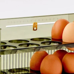 Clearance Acrylic Kitchen Egg Holder Pantry & Fridge Storage