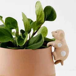 Hot Barking Barry Ceramic Pot Hanger Planters