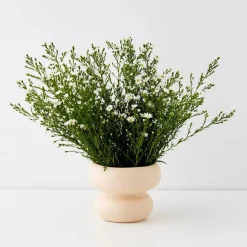 Double Bubble Ceramic Vase Vases