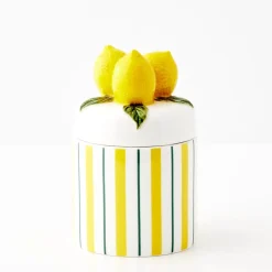Discount Lemon Ceramic Canister Kitchen Accessories
