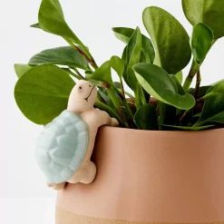 Clearance Timmy Turtle Ceramic Pot Hanger Planters