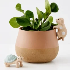 Clearance Timmy Turtle Ceramic Pot Hanger Planters